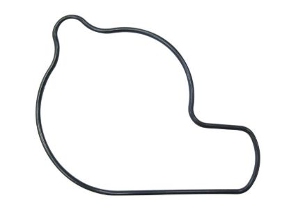 PSYCHIC WATER PUMP COVER GASKET