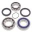 SNOWMOBILE CHAIN CASE BEARING & SEAL KIT
