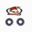 WHEEL BEARING KIT FRONT