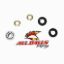 LOWER SHOCK BEARING KIT