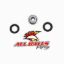 LOWER SHOCK BEARING KIT