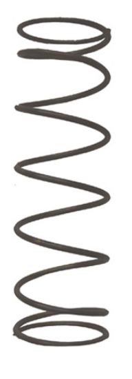 EXHAUST VALVE SPRING