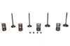 Picture of Wiseco Engine Exhaust / Intake Valve Kit - SVKB4336