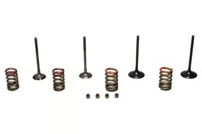 Picture of Wiseco Engine Exhaust / Intake Valve Kit - SVKB4341