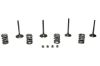 Picture of Wiseco Engine Exhaust / Intake Valve Kit - SVKB4409