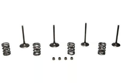 Picture of Wiseco Engine Exhaust / Intake Valve Kit - SVKB4409