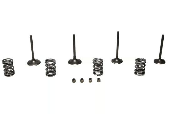 Picture of Wiseco Engine Exhaust / Intake Valve Kit - SVKB4409