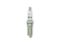 ACCEL PLUGS SPARK PLUG  FORD COYOTE - 579