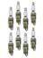 ACCEL PLUGS U-GRV.SPK.PLUG-BLIST.PK-8 - 8179