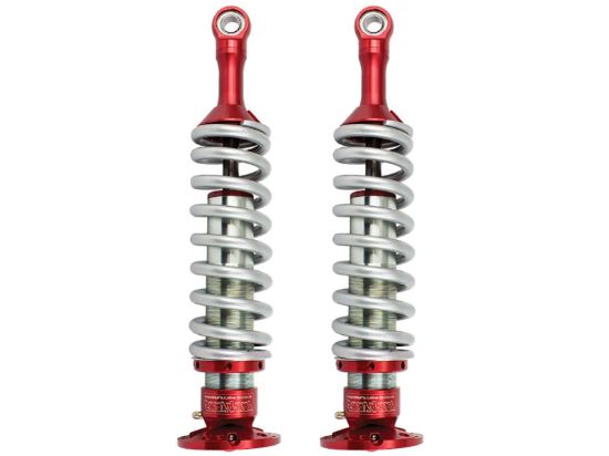 AFE COIL OVER KIT  FORD F150 - 301560001