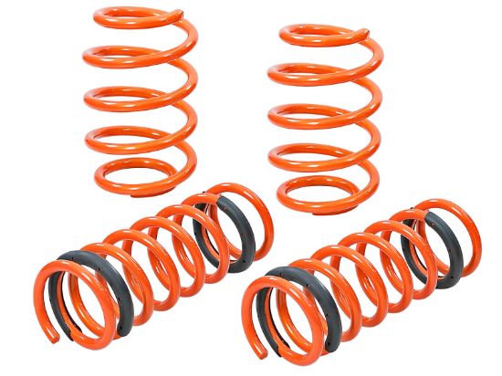 AFE AFE LOWERING SPRINGS - 410302001N