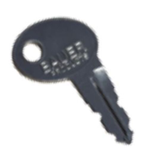 AP PRODUCTS BAUER AE SERIES REPLACEME - 013689001