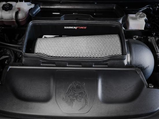 AFE MAGNUM FORCE INTAKE - 5413072D