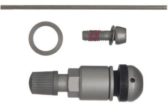 SCHRADER S PACK BERU SENSOR SILVER - 20037