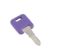 AP PRODUCTS GLOBAL REPLACMENT KEY CODE 387 - 013690387