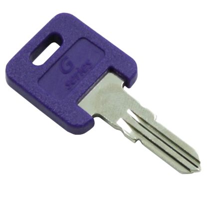 AP PRODUCTS GLOBLE RPL KEY CODE #391 - 013690391