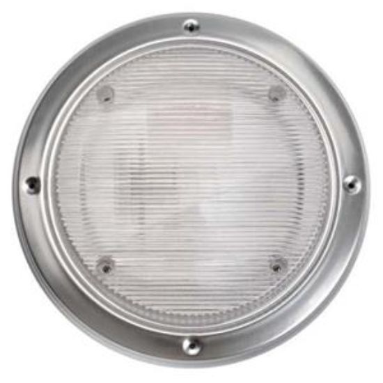 AP PRODUCTS RND SCARE LIGHT REP-WHT - 016RSL2000
