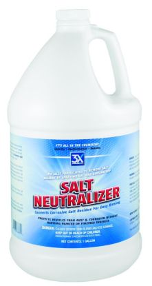 AP PRODUCTS SALT NEUTRALIZER GALLON - 156