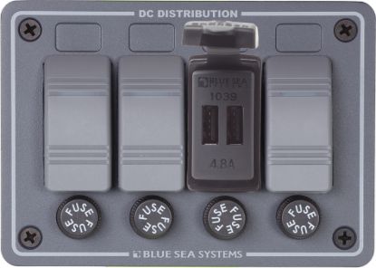 BLUE SEA 12/24VDC DUAL USB 4.8A SWMNT - 1039BSS