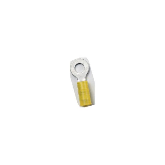 ANCOR NYLON RING TERMINAL  12-10 3/8'  25 - 210226