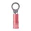 ANCOR 22-18 #10 RING NYLON 6 PACK - 230203