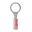ANCOR NYLON RING TERMINAL  22-18 3/8'  5P - 230206