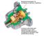 AUBURN GEAR GM 8.4' 10 BOLT  17T  55-64 CHEVY - 5460100