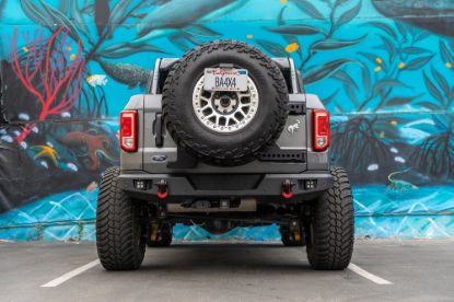 BODY ARMOR TIRE CARRIER - FB5290