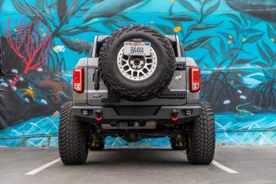 BODY ARMOR TIRE CARRIER - FB5290