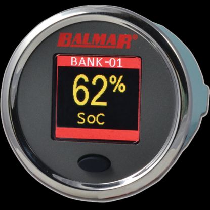 BALMAR COLOR DISPLAY  SG200  2' - SG20200