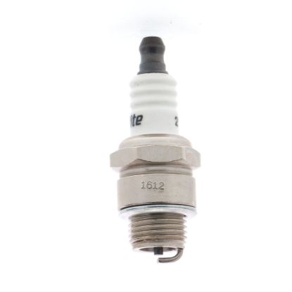 AUTOLITE SPARK PLUG DISP.PK EA. - 255DP