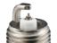 AUTOLITE LAWN&GARDEN ANTI-FOULING - XST2974DP