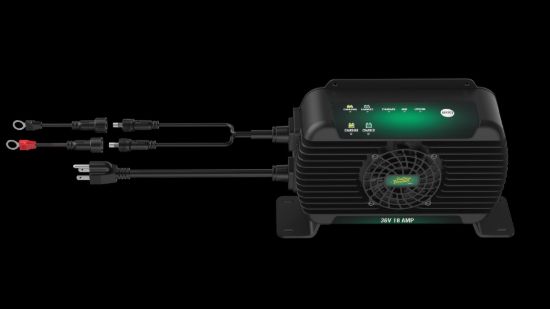 BATTERY TEND 18A 36V ON-BOARD - 0222013DLW