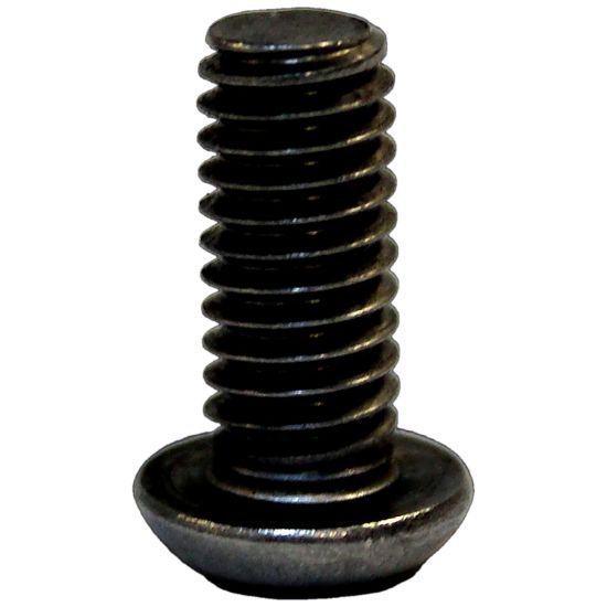 CROWN AUTO SS TORX BOLT - 4004956SS
