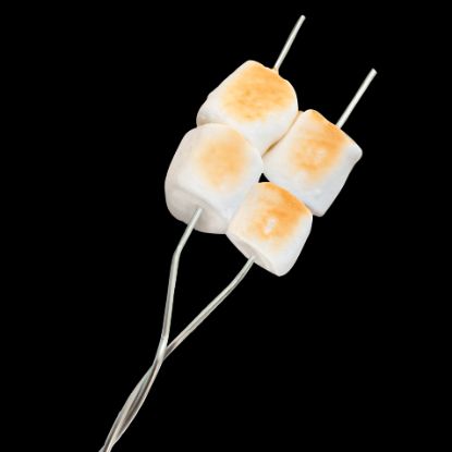COGHLAN'S TOASTER FORKS - PKG OF 4 - 8975