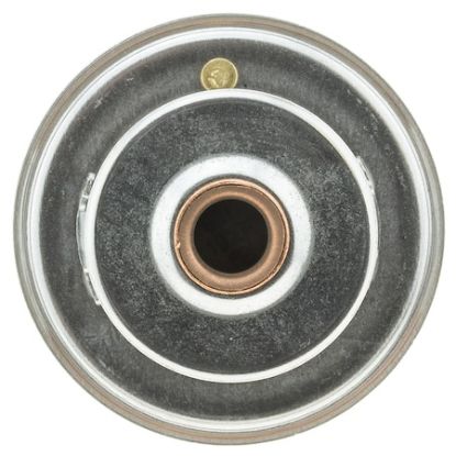 MOTOR RAD AM THERMOSTAT - 335192