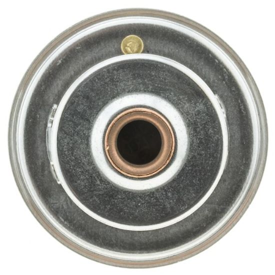 MOTOR RAD AM THERMOSTAT - 335192