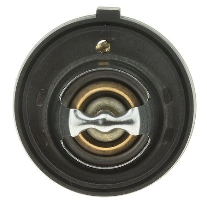 MOTOR RAD AM THERMOSTAT - 340195