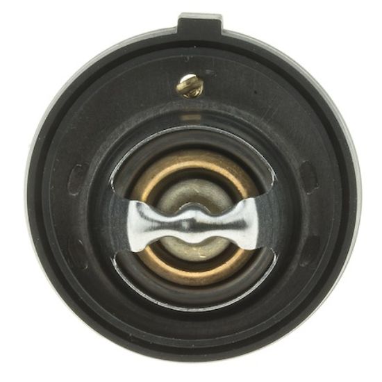 MOTOR RAD AM THERMOSTAT - 340195