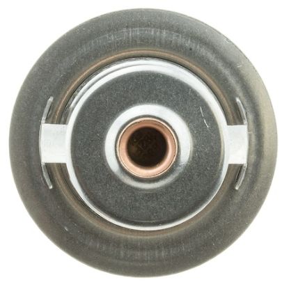 MOTOR RAD AM THERMOSTAT - 378192