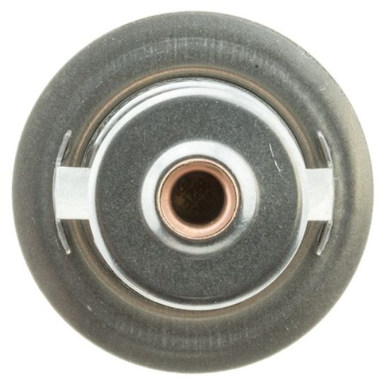 MOTOR RAD AM THERMOSTAT - 378192