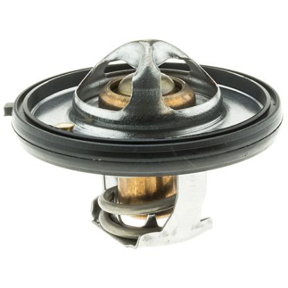 MOTOR RAD AM THERMOSTAT - 420180