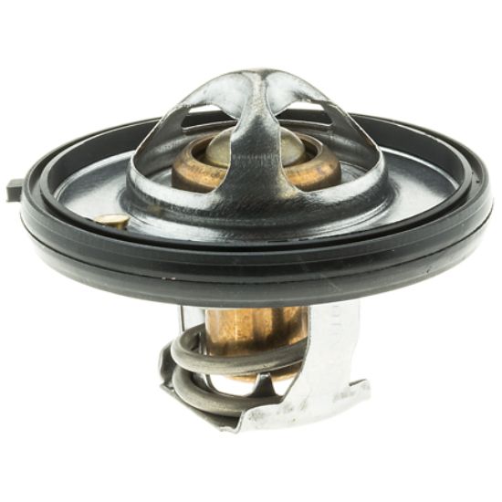 MOTOR RAD AM THERMOSTAT - 420180