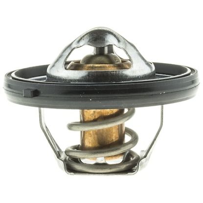 MOTOR RAD AM THERMOSTAT - 420195