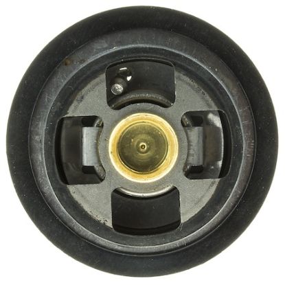 MOTOR RAD AM THERMOSTAT - 423195