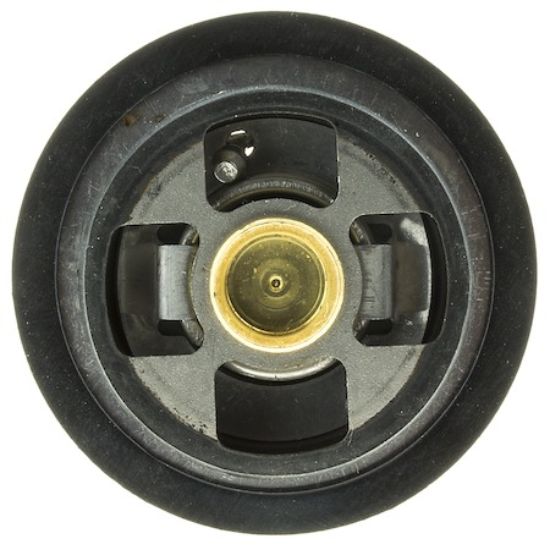 MOTOR RAD AM THERMOSTAT - 423195