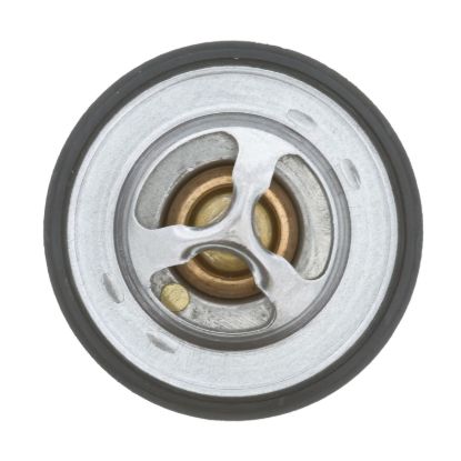 MOTOR RAD AM THERMOSTAT - 427180