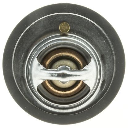 MOTOR RAD AM THERMOSTAT - 441170