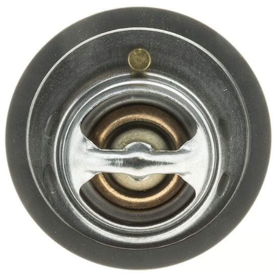 MOTOR RAD AM THERMOSTAT - 441170