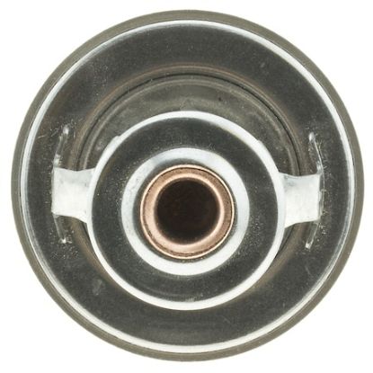 MOTOR RAD AM THERMOSTAT - 442180